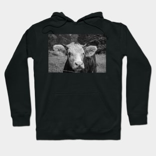 Swiss Cow 3 Hoodie